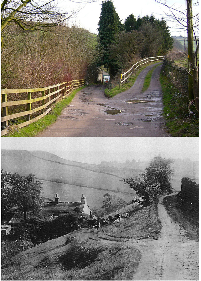 Sun Wood Farm 2007   c1910